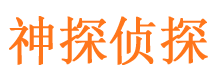 居巢外遇出轨调查取证